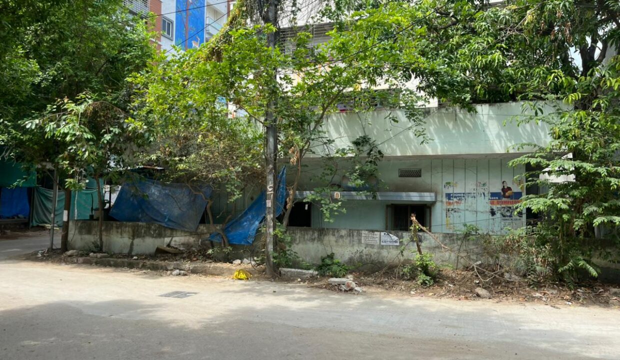 WhatsApp Image 2025-01-26 at 9.49.56 PM