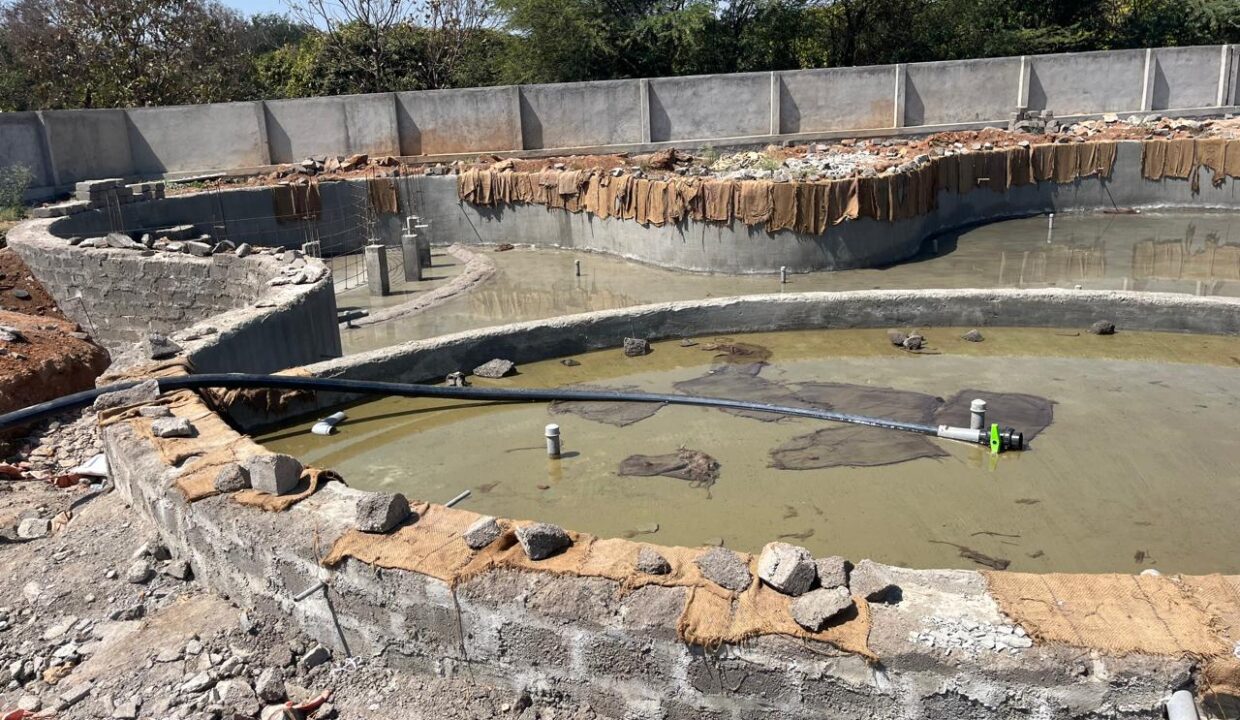 WhatsApp Image 2025-02-27 at 20.26.25_454e02ff